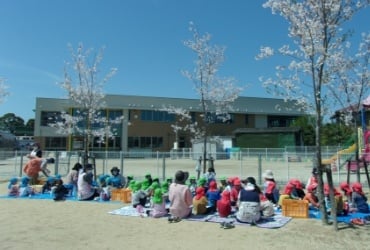 宮前こども園ついて